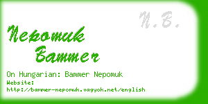 nepomuk bammer business card